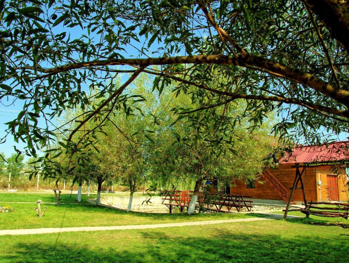 Pensiunea ,,La Struti" Targu Neamt Exterior foto