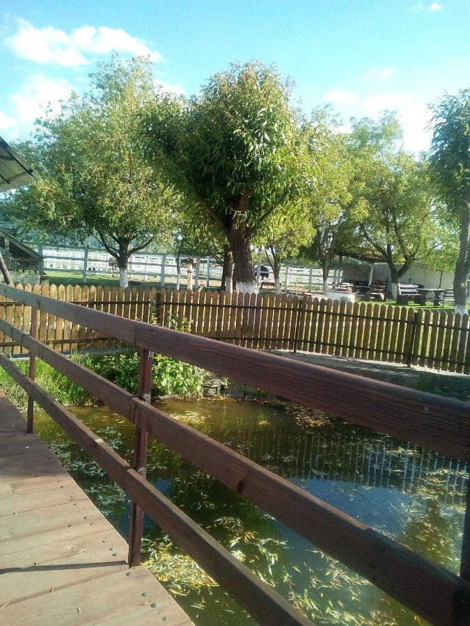 Pensiunea ,,La Struti" Targu Neamt Exterior foto